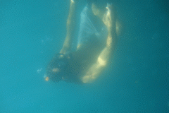 underwater-snorkeler-cabos-san-lucas-mexico