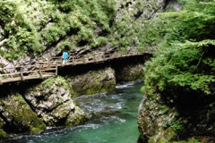Photos from Slovenia